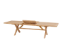OFFRE SPECIALE : Table de jardin Extensible XENIA ACACIA 12p + 8 Fauteuils Empilables TEMEIRA ACACIA